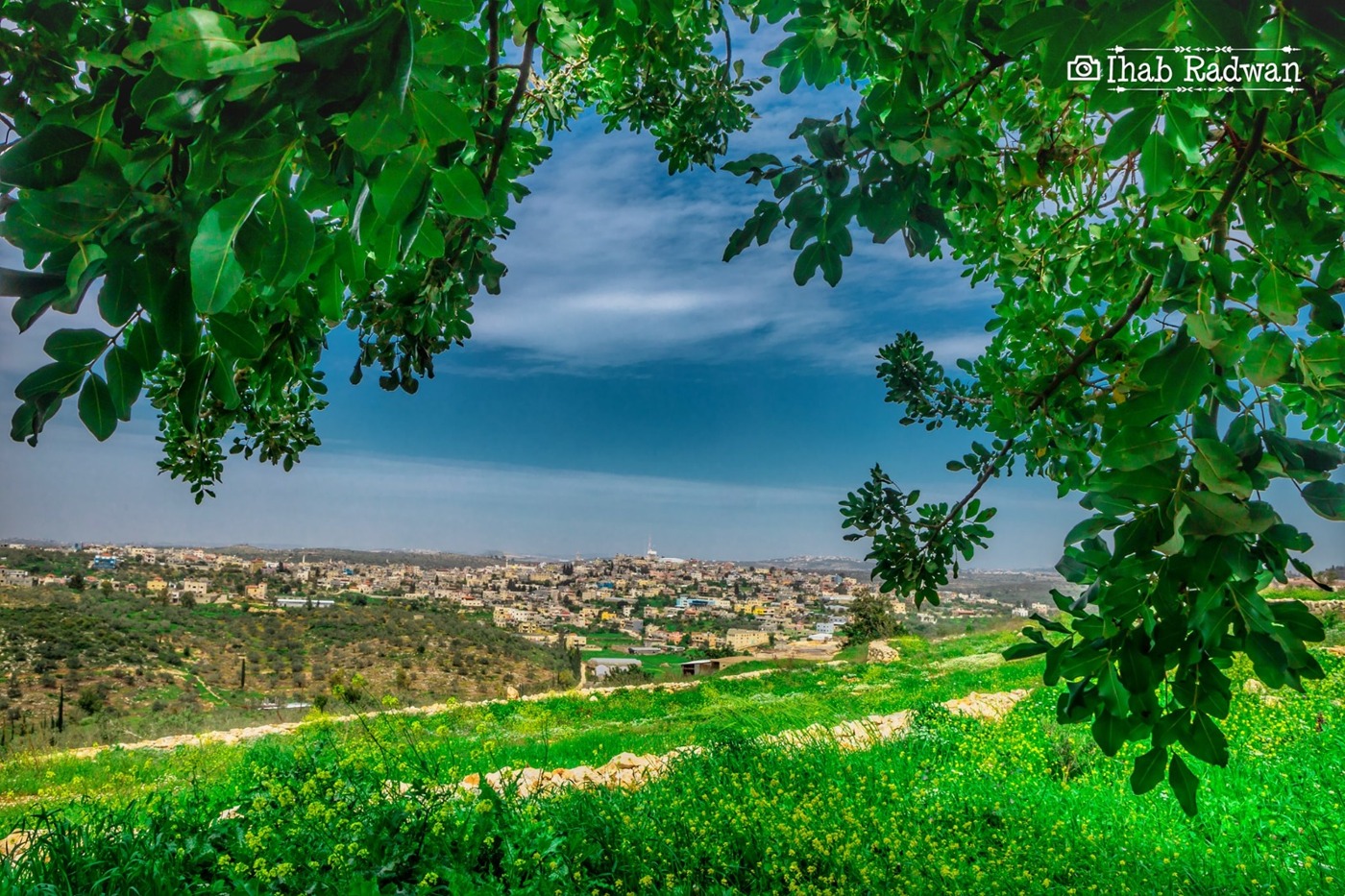 توريد مواد لتوسعة وتطوير شبكة الكهرباء