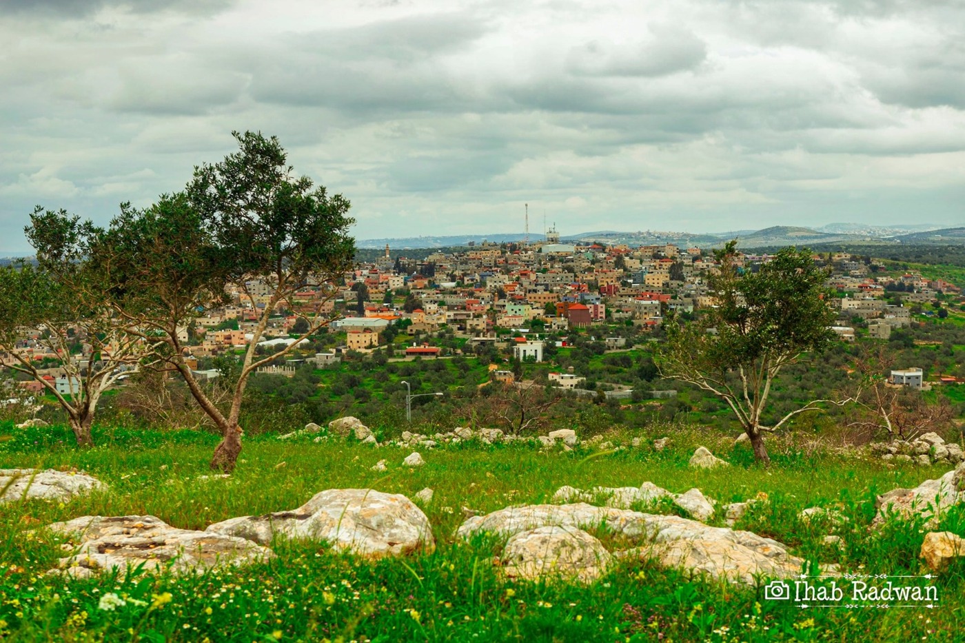 Water Department Services