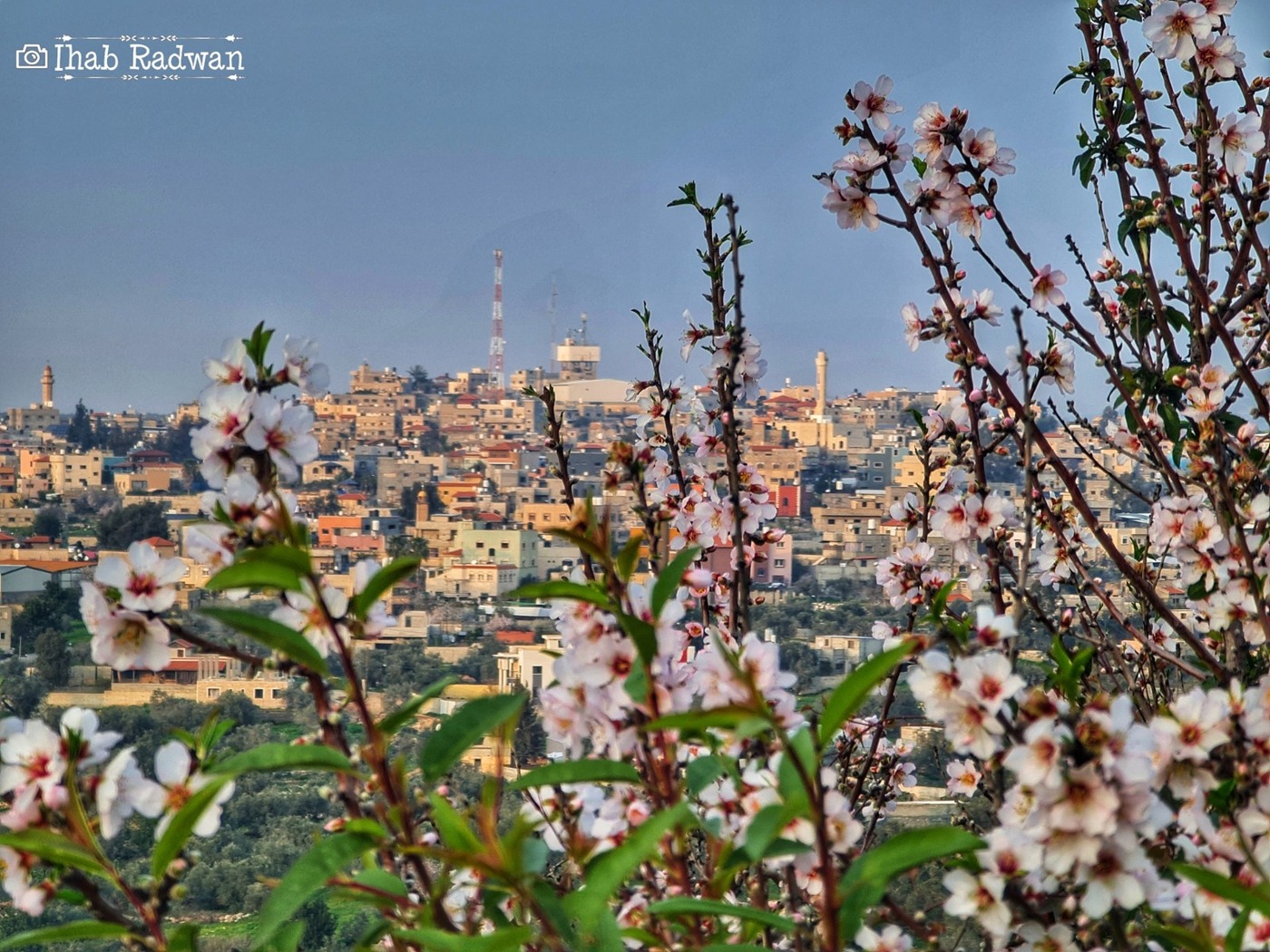 خدمات قسم الصحة