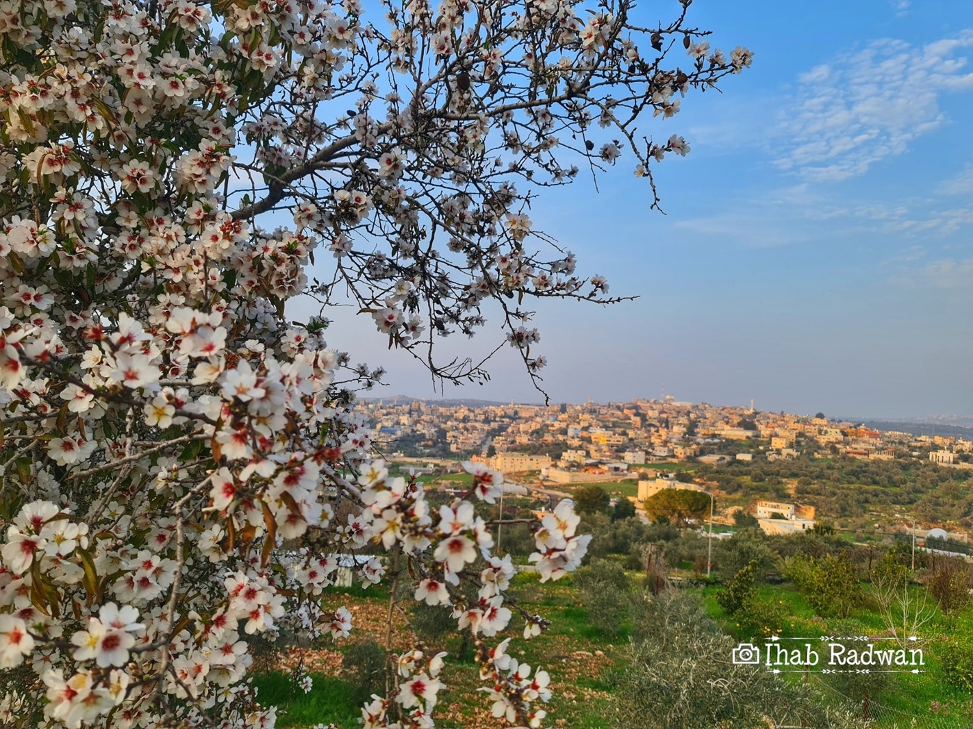  E-Services Platform<>منصة الخدمات الإلكترونية<>