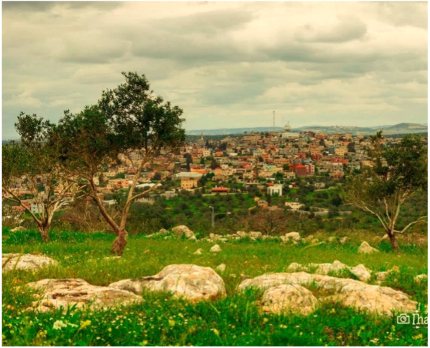 هذا عنوان تجريبي لأغراض الاختبار