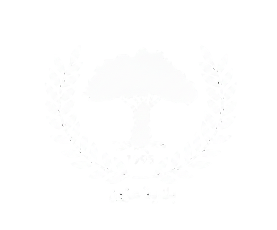 حملة 
